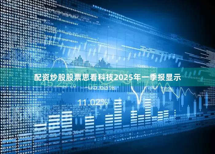配资炒股股票思看科技2025年一季报显示