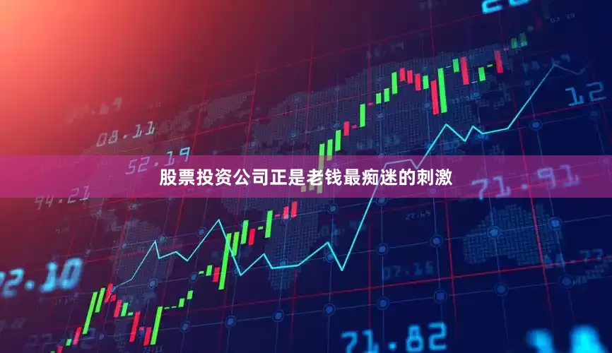 股票投资公司正是老钱最痴迷的刺激